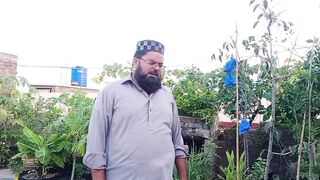 انگور کا پھل کھانا ہے تو ایسا کرنا ہوگا