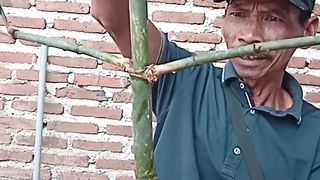 Bambu patil lele 3