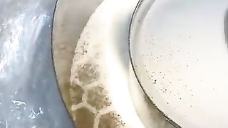 The Delicious Honey Bee