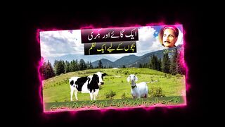 Allama Iqbal best Nazam for Children |Aik Gay Aur Bakri|A Cow and Goat|Iqbal shayari|Iqbal poetry