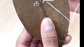 amazing ???????? a scrab leaf also in use to make decorations