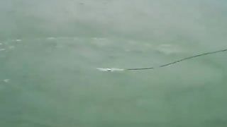 Mancing Buaya Darat