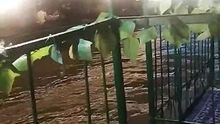 Along the river