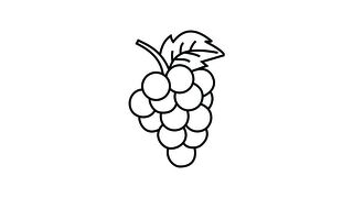 drawing grapes