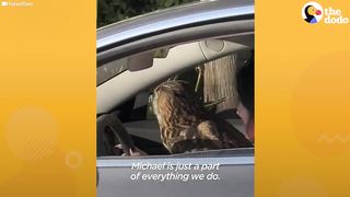 Baby Owl Goes Everywhere With Her Family