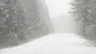 Вислів