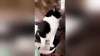 Funny Videos 2022 | Instant Regret | Fails Of The Week | Fail Compilation 2022 | Fails | RandomFails