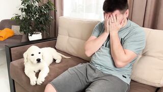 Golden Retriever Puppy Reaction to Me Crying