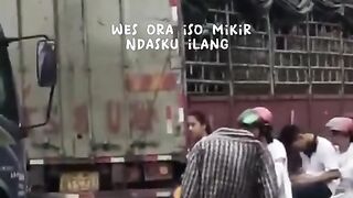 Funny video