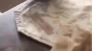 Best videos ever haha try not to laugh