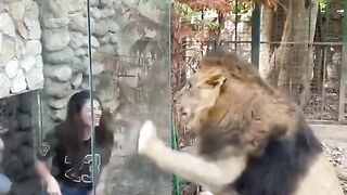 L'animal le plus dangereux