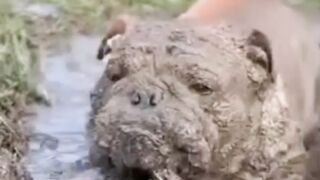 Грузовые ванны по рассписанию