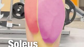 Build BIGGER CALVES