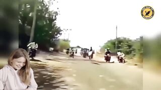 Funny Animals Video In 2023