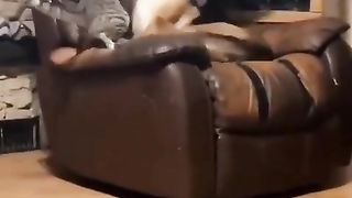 Cats ???? 2