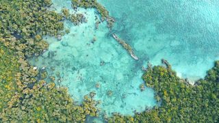 "Paradis Terrestres à Découvrir : Voyage au Cœur de la Beauté Naturelle"