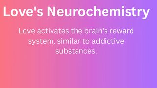 Love's Neurochemistry