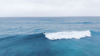 "Sous le Soleil et sur les Vagues : L'Art du Surf et ses Merveilles"