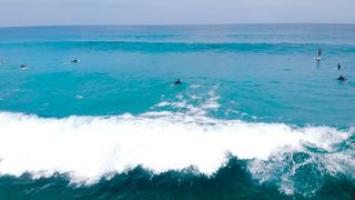 "Surfing Paradise : Naviguer sur les Vagues de l'Adrénaline"