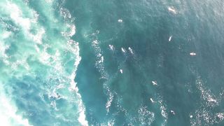 "Surf Stories : Récits d'Aventures et de Vagues Inoubliables"