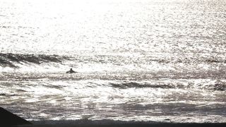 "Rider les Vagues : L'Art et la Passion du Surf"