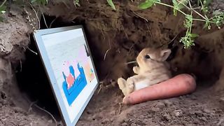 The little white rabbit watches TV at home