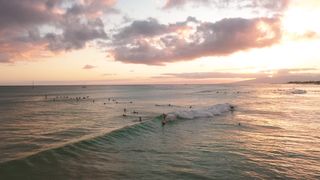 "Les Vagues, Mon Horizon : Un Voyage sans Fin dans l'Univers du Surf"