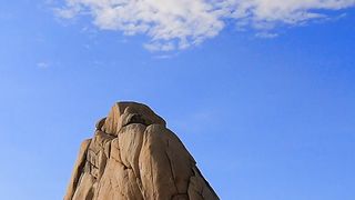 "Californie : Entre Plages Dorées, Vignobles et Nature Spectaculaire"