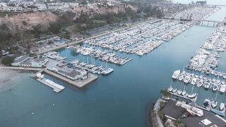 "California Dreaming : À la Découverte des Trésors de l'État Doré"