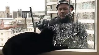 Cat having fun.. ????