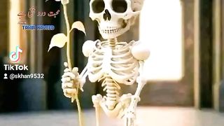 Funny video