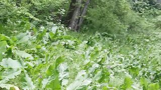 Relaxing video 3