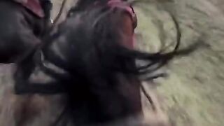 Horse reise