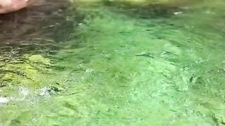 The wonder of nature 2
