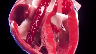 Human heart in motion, Captivating Footage: Witness the Human Heart in Motion!