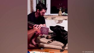 Funny animals and pets Dogs Lovingly Staring Into Their Owners_ Souls That Are Warming Everyone_s Hearts(
