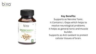 MUCUNA / KAUNCH BEEJ EXTRACT 60 VEG CAPSULES (450MG) 15% L-DOPA BY HPLC