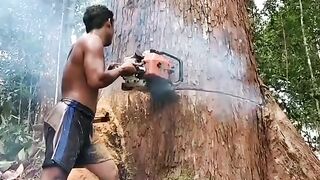 Pohon Aneh Tak Putus-putus