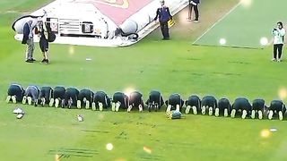 Cricket Wins