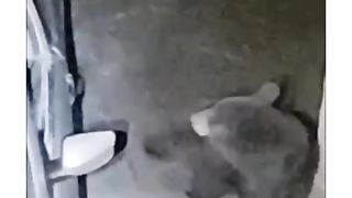 ???????????????????????? 48