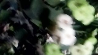 Animal lovers