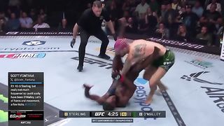 UFC Fight