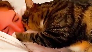 Funny cat video 30
