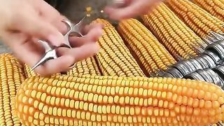 Open corn simple easy