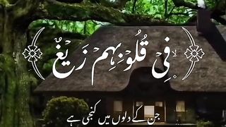Tilawat quran????????