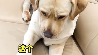 Oh!!!!! Very cute