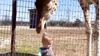 Graphees & Kids Fun