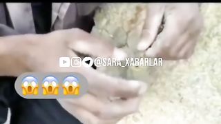 Wow video 2