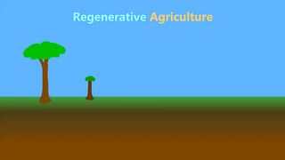 What is Regenerative Agriculture?