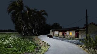 Kampung halaman 3